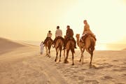 Visit Qatar - الموقع الرسمي